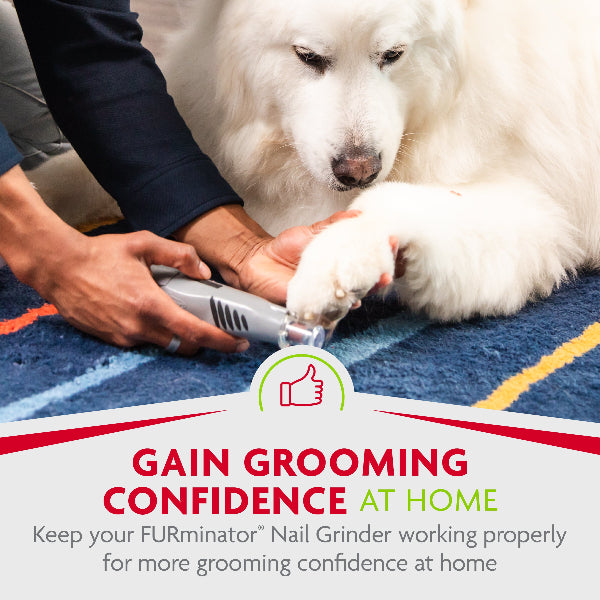 FURminator Replacement Grinding Bands (6-Pack, 120 Grit)