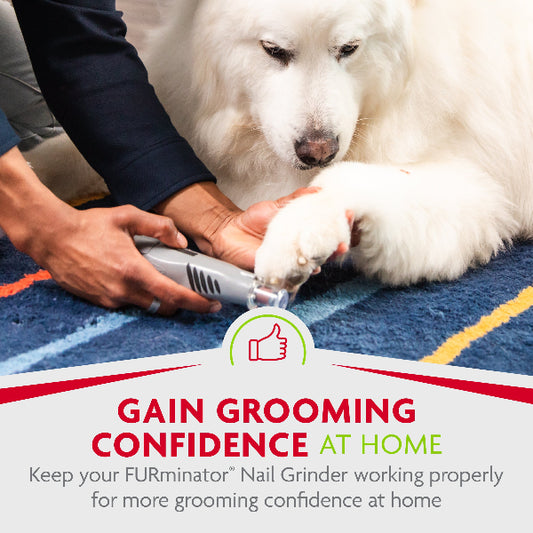 FURminator Replacement Grinding Bands (6-Pack, 120 Grit)