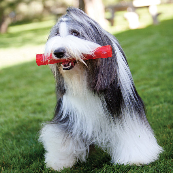 KONG Squeezz Crackle Stick