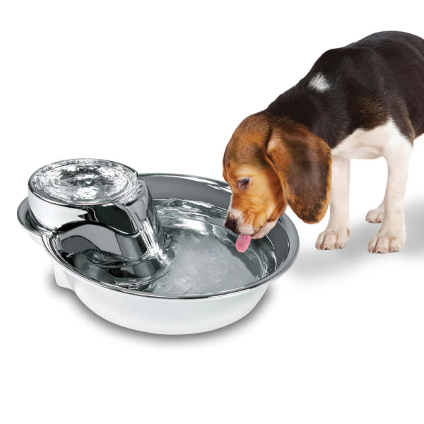 Stainless Steel Pet Fountain – Big Max Style