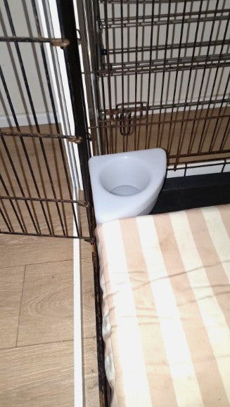 K9 Corner Cruiser Bowl