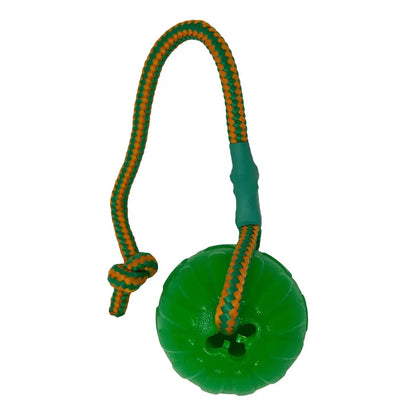 Swing ‘n Fling Chew Ball