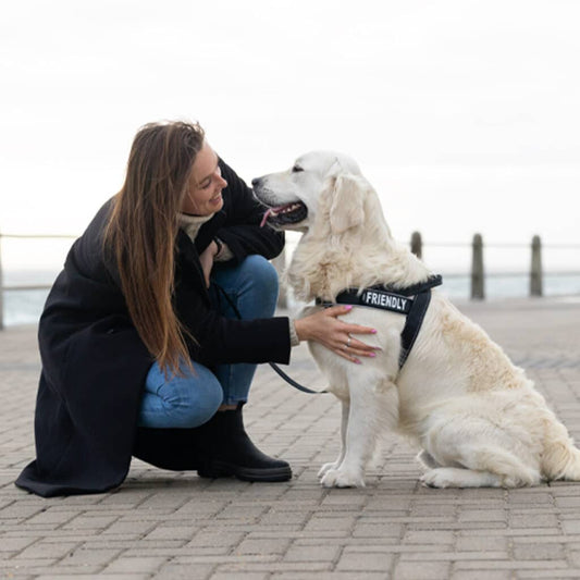 Personalised Velcro Badges for Dogs