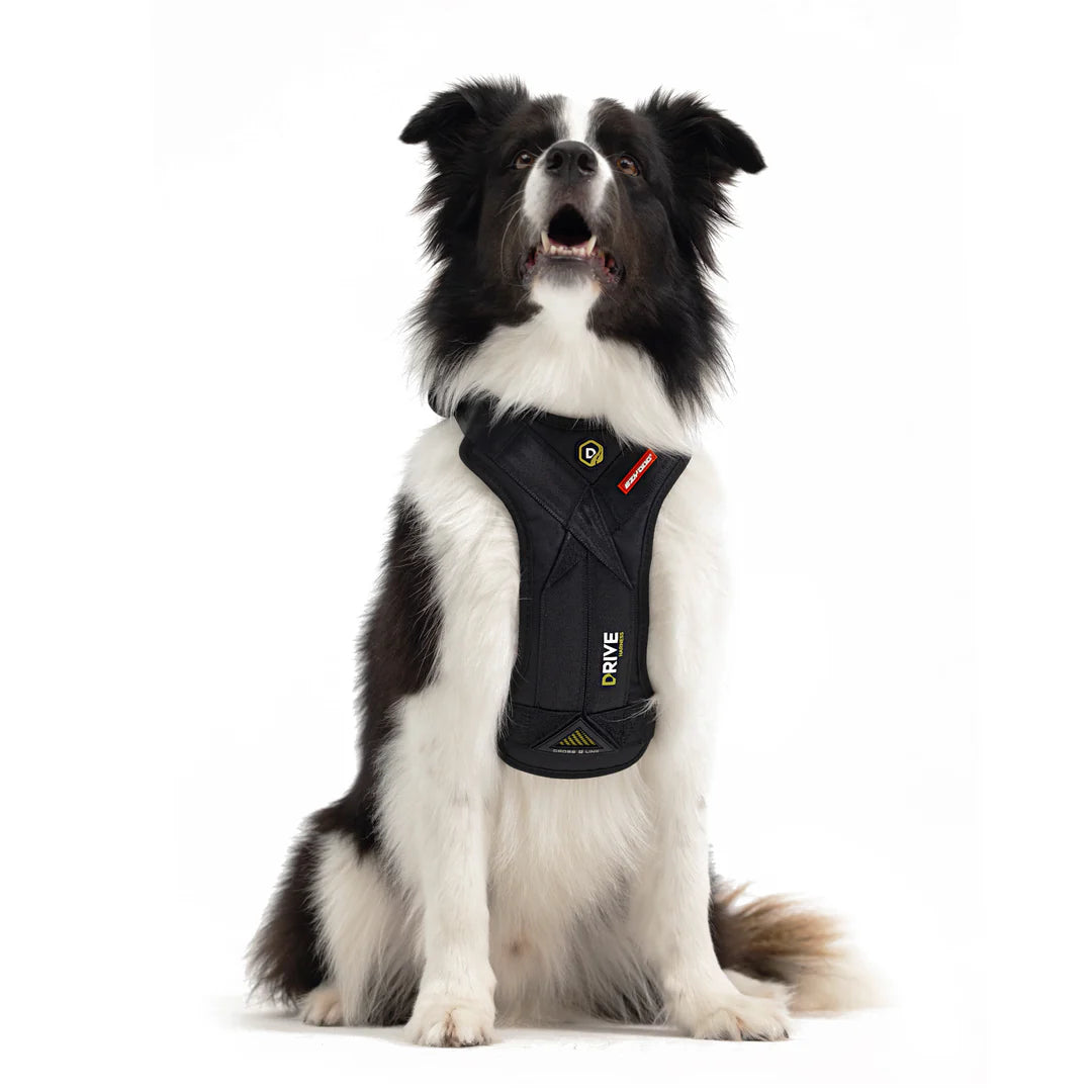 Drive Dog Car Harness From EzyDog