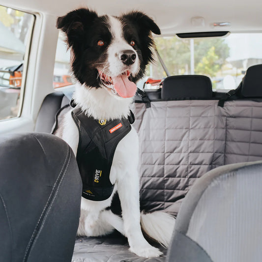 Drive Dog Car Harness From EzyDog