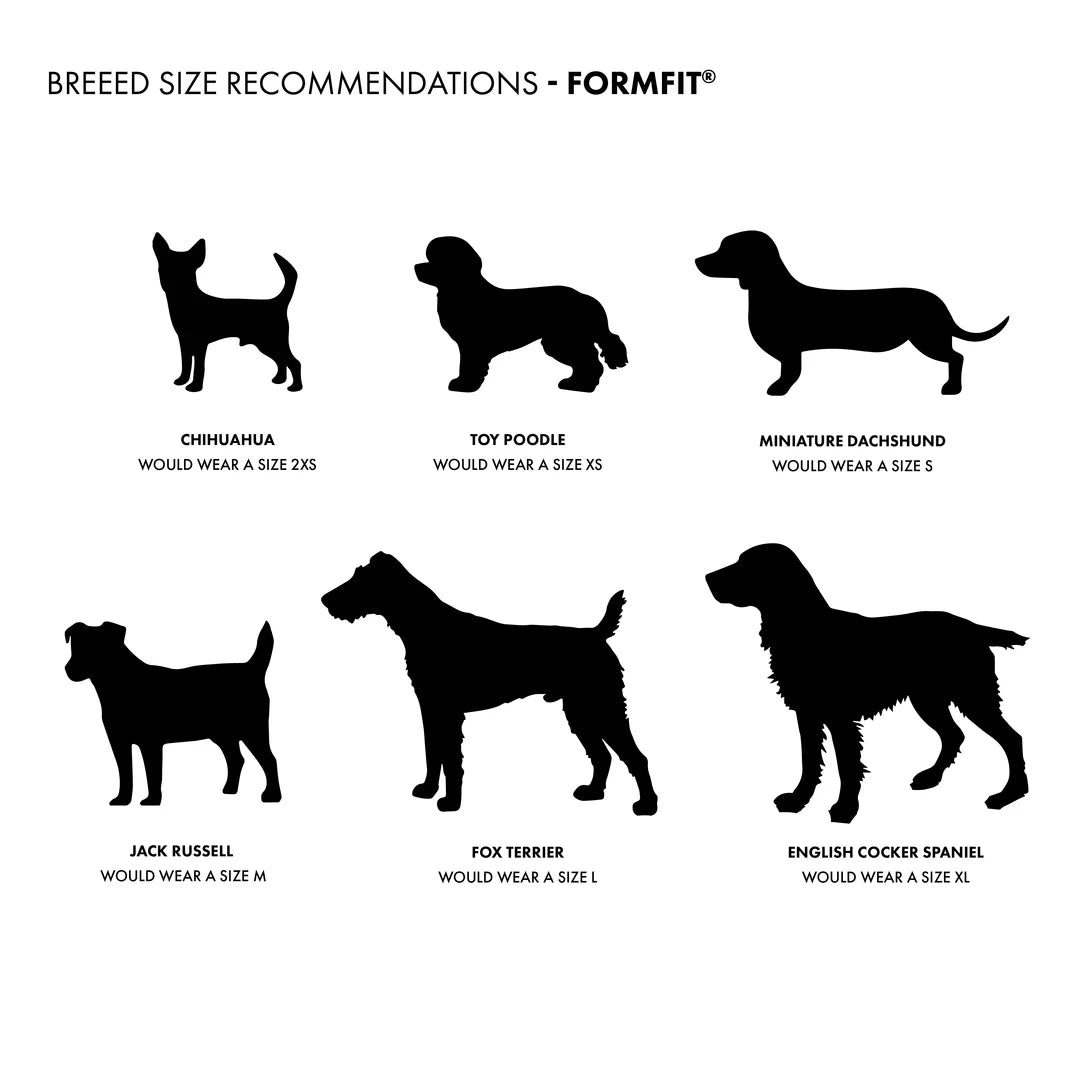 FORMFIT Mesh Harness – Perfect for Small Dogs
