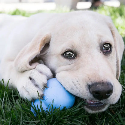 KONG Easy Treat - Puppy
