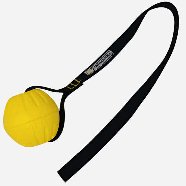 Starmark Gripcord Durafoam Ball