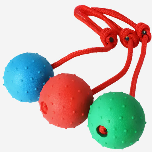 Tough 2" Ball on Rope