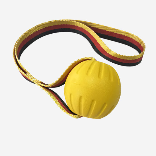 Toss &Tug Ball