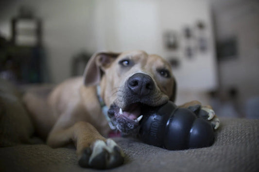 KONG Extreme
