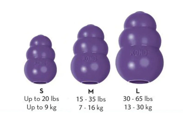 KONG Senior