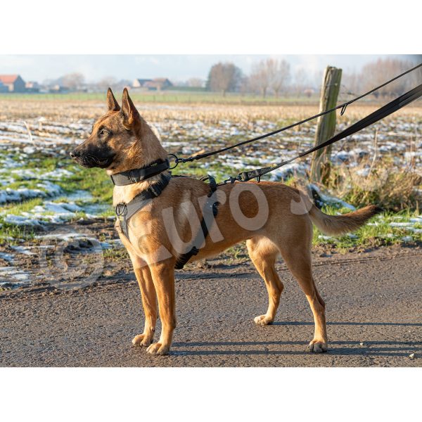 Euro Joe Iron Power Harness