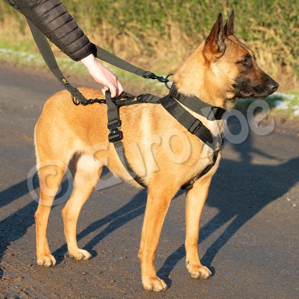 Euro Joe Iron Power Harness