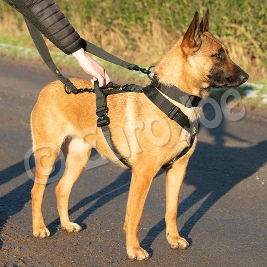 Euro Joe Iron Power Harness