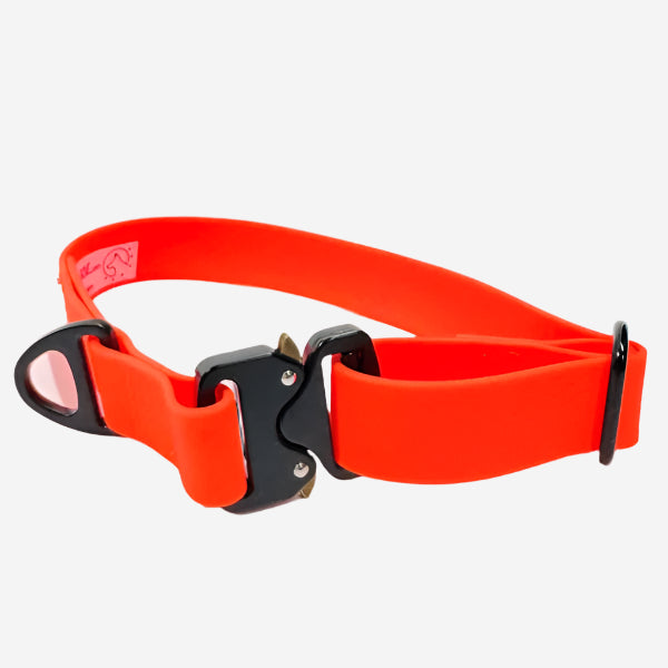 Sporty Collar