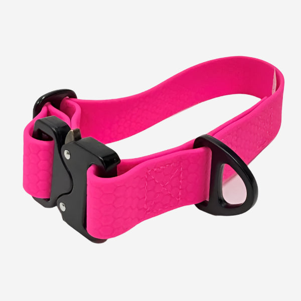 Sporty Collar
