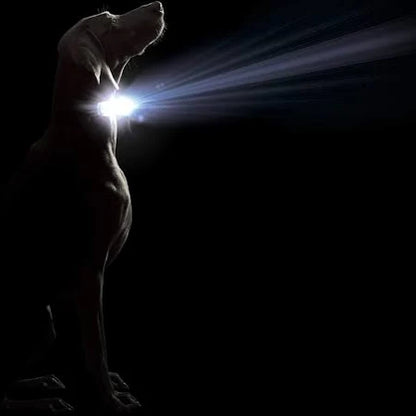 DGS Comet LED Dog Collar