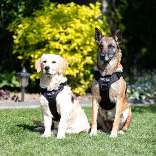 Euro Joe Tactical Harness