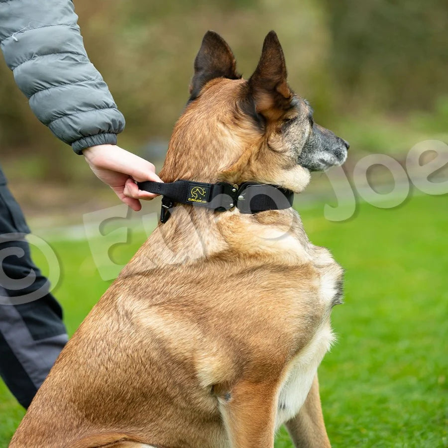 Euro Joe Tactical Collar with Handle