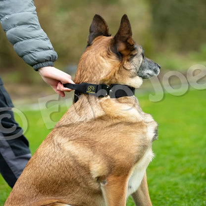 Euro Joe Tactical Collar with Handle