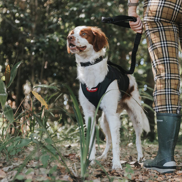 EzyDOG Thermax Vest