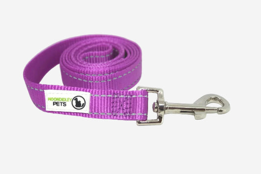 Reflective Nylon Dog Lead - 1.80cm