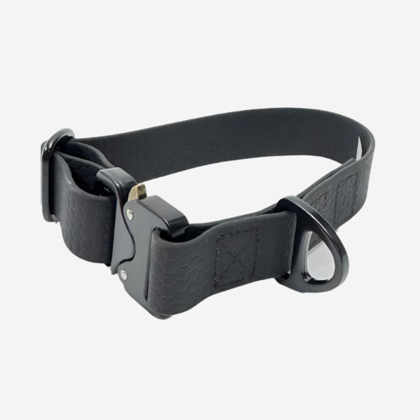 Sporty Collar